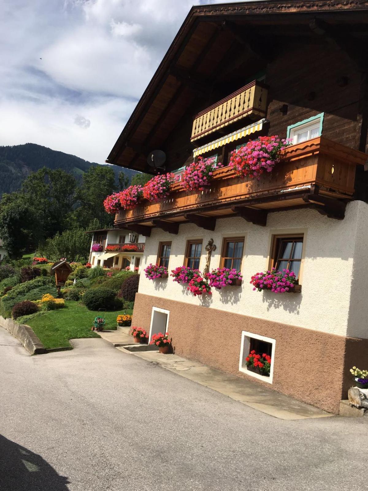 Ferienwohnung Haus Gomig Dölsach Dış mekan fotoğraf